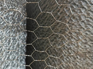 Stainless Steel Hexagonal Wire Netting