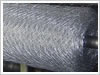 S.S.  Hexagonal Wire Netting